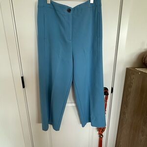 Ann Taylor Wide Leg Pants in Sky Blue